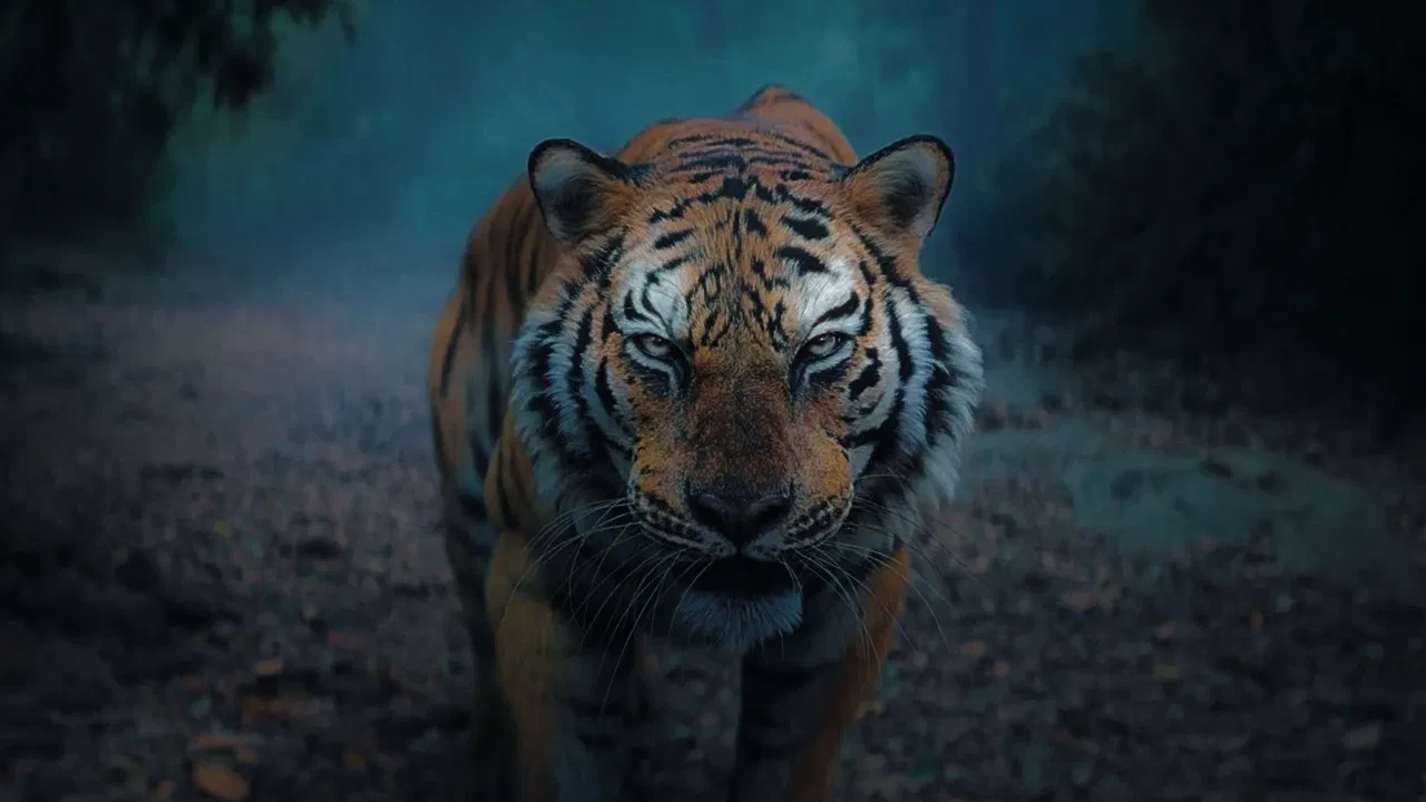 Kantara: Chapter 1 Movie Screenshot 4 Kantara: Chapter 1 Movie Screenshot 4