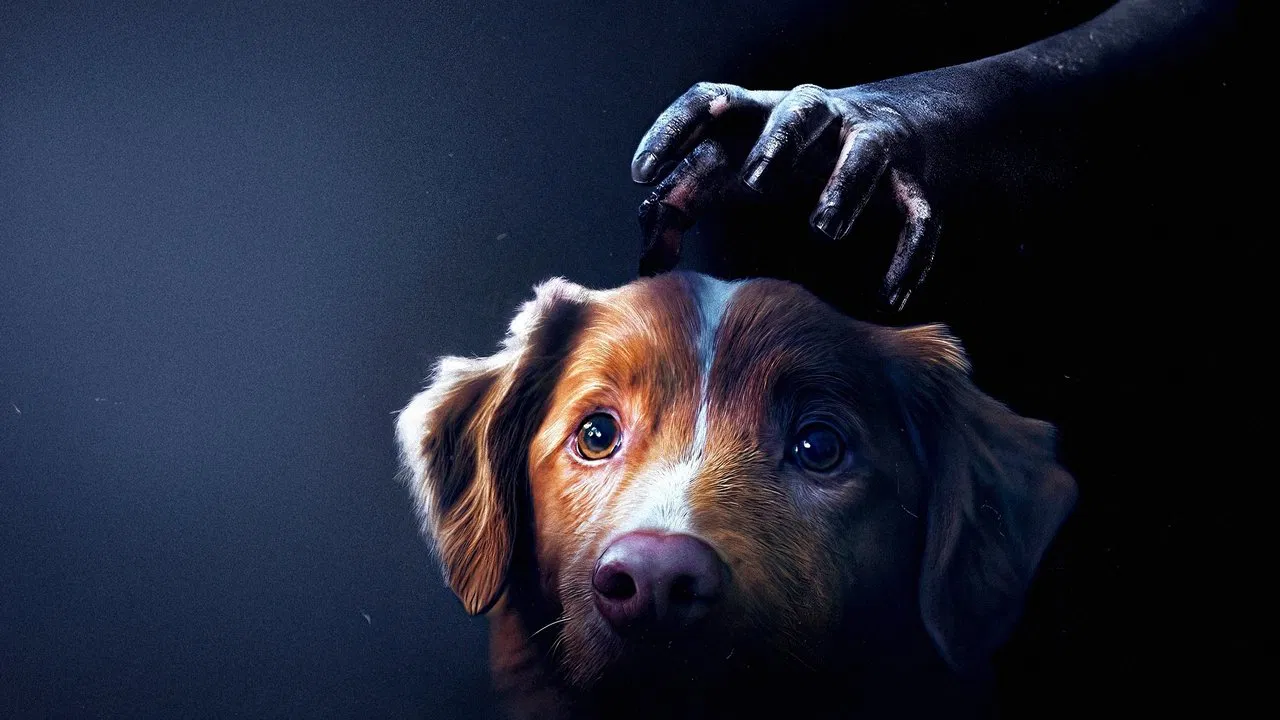 Good Boy Movie Screenshot 3 Good Boy Movie Screenshot 3